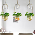 Lileas - Moderne Hängende Pflanzenlampe